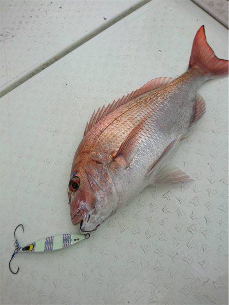 マタウマリンサービス 釣果