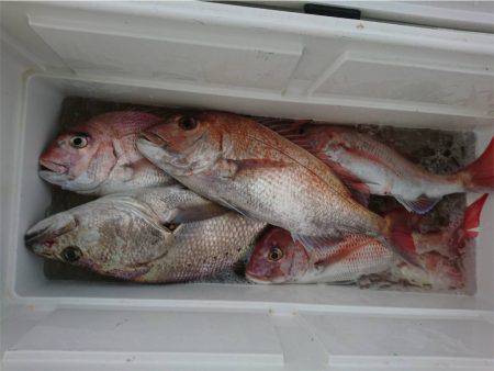 マタウマリンサービス 釣果