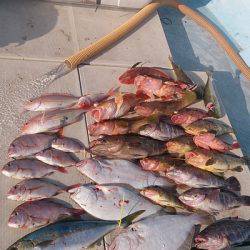 旭星釣りセンター 釣果