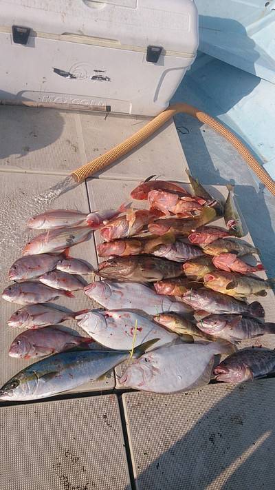 旭星釣りセンター 釣果