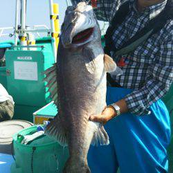 モンロー号 釣果