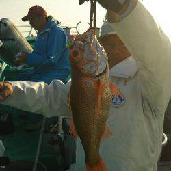 モンロー号 釣果