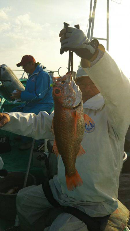 モンロー号 釣果