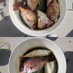 来温丸（らいおんまる） 釣果