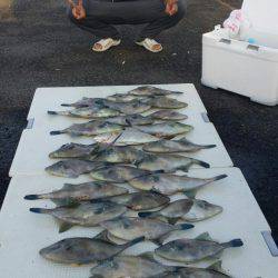 オーフリー 釣果