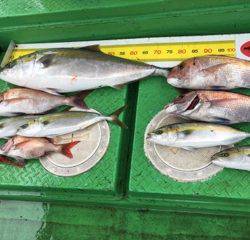 利弥丸（としやまる） 釣果