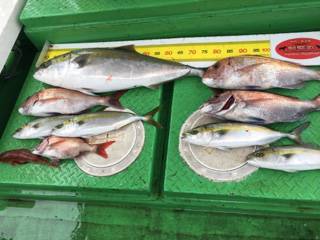 利弥丸（としやまる） 釣果