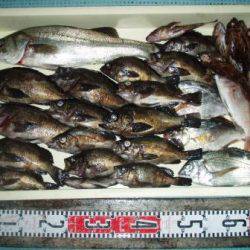 朝日丸 釣果