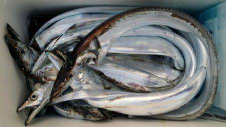 オーフリー 釣果