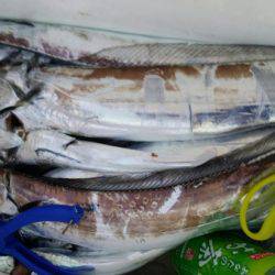 オーフリー 釣果