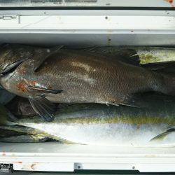 モンロー号 釣果