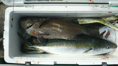 モンロー号 釣果