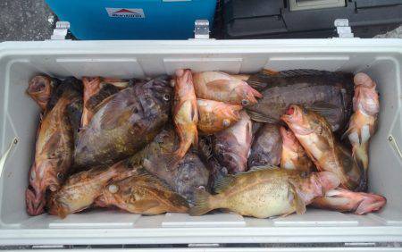 第八平成丸 釣果