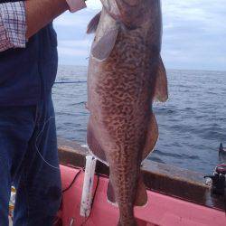 第八平成丸 釣果