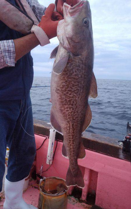 第八平成丸 釣果