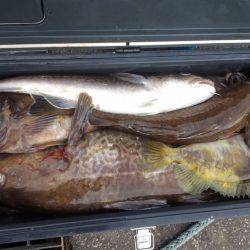 第八平成丸 釣果