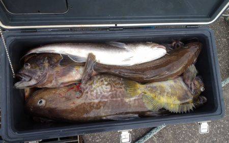 第八平成丸 釣果