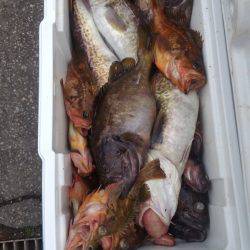 第八平成丸 釣果