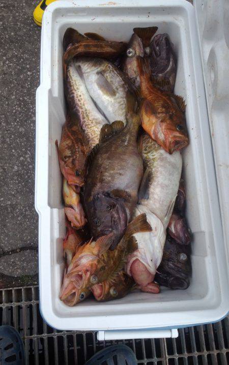 第八平成丸 釣果