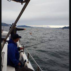 内浜丸 釣果