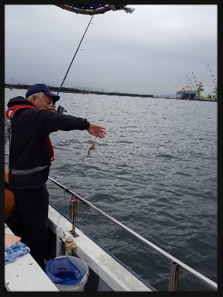 内浜丸 釣果