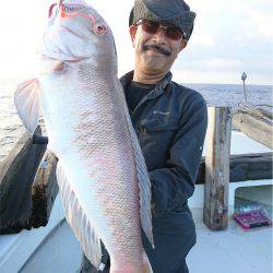 マタウマリンサービス 釣果