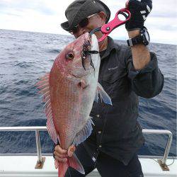 マタウマリンサービス 釣果