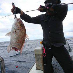 マタウマリンサービス 釣果