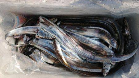 オーフリー 釣果