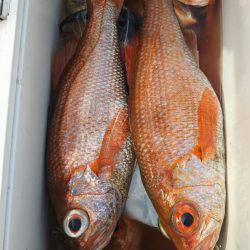 モンロー号 釣果