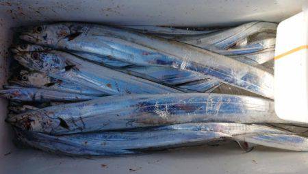 オーフリー 釣果