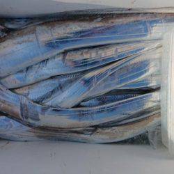 オーフリー 釣果