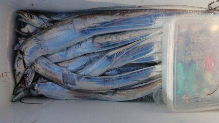 オーフリー 釣果