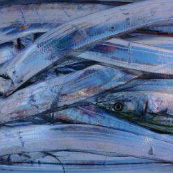 オーフリー 釣果