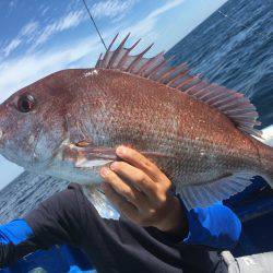 長栄丸(千葉) 釣果