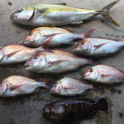 長栄丸(千葉) 釣果