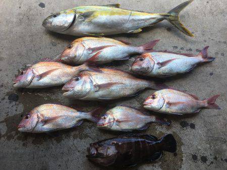 長栄丸(千葉) 釣果