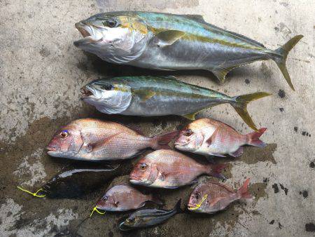 長栄丸(千葉) 釣果