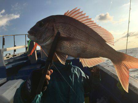 長栄丸(千葉) 釣果