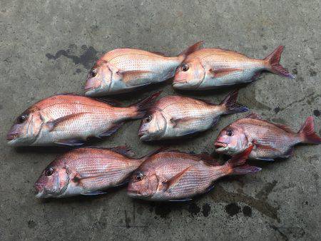 長栄丸(千葉) 釣果