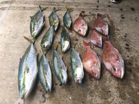 長栄丸(千葉) 釣果