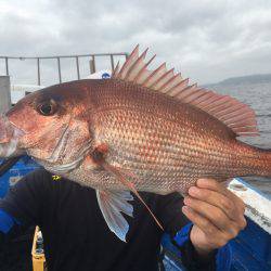 長栄丸(千葉) 釣果