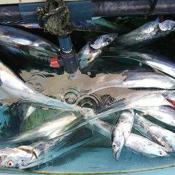 第二常豊丸 釣果