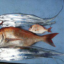 第二常豊丸 釣果