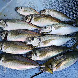 第二常豊丸 釣果