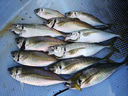 第二常豊丸 釣果