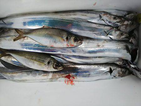 第二常豊丸 釣果