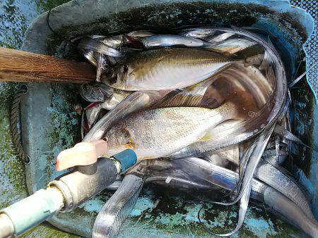 第二常豊丸 釣果