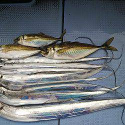 第二常豊丸 釣果