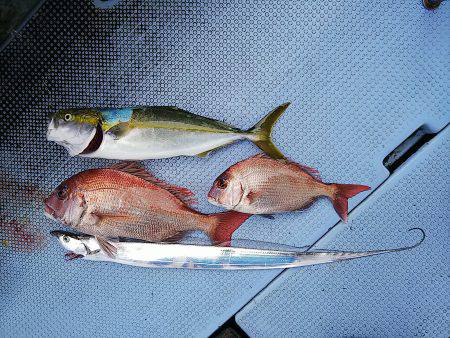 第二常豊丸 釣果